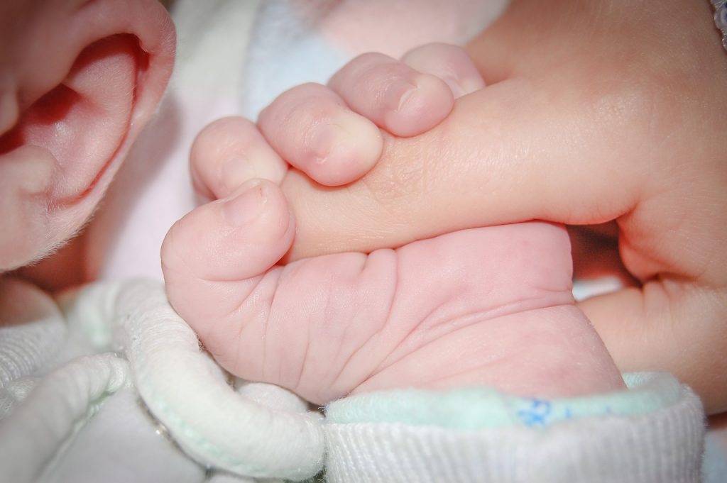 Presentato a Palazzo di Città il progetto “Affidonare” per accompagnare single e famiglie nel percorso verso l’affido e l’adozione