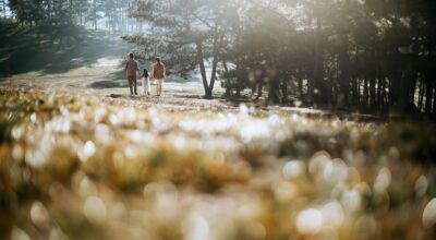 Il Centro Servizi per le Famiglie non si ferma. Nuove iniziative estive